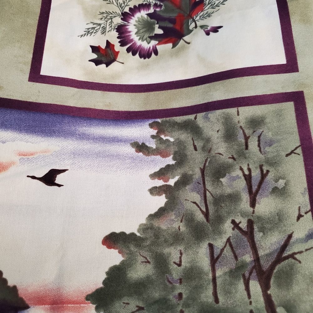 Beautiful Moda fabric almost a yard - Picture 3 of 5